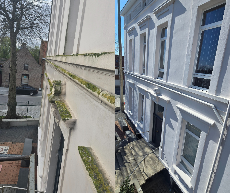 gevelreiniging gistel ontmossen softwash stoomreiniging